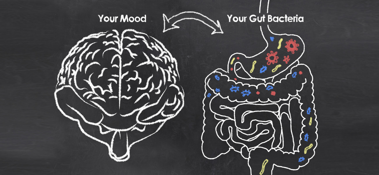 Happy gut? Probiotics for Better Mental Health