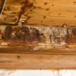 Roof leaks can be caused by a various types of water damage.