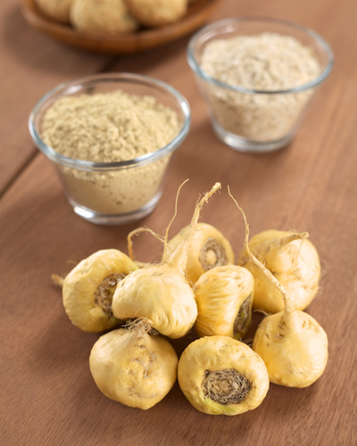 Maca Root on table