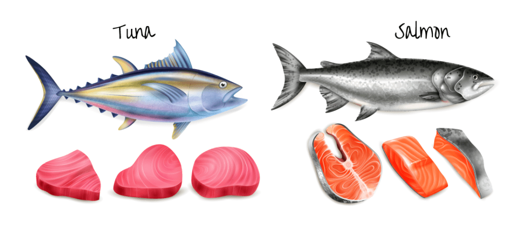 Fatty fish, such as tuna and salmon, are rich with omega-3 fatty acids.
